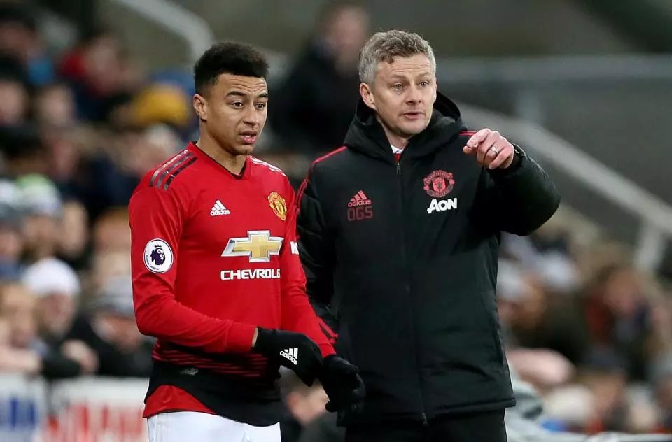 距败给了活 距败给了活